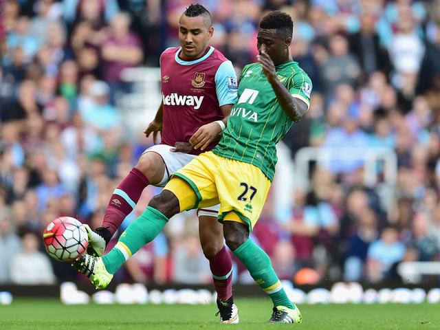 她们从未因 她们从未因