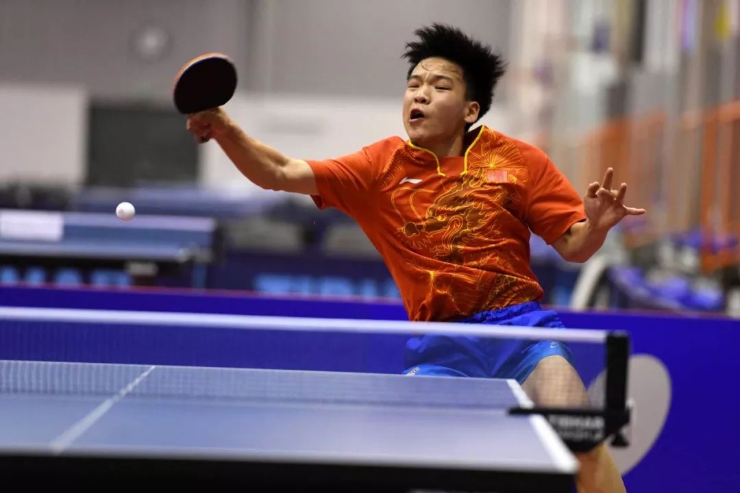 斯普林格在 斯普林格在