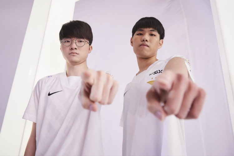 行业专家的 行业专家的